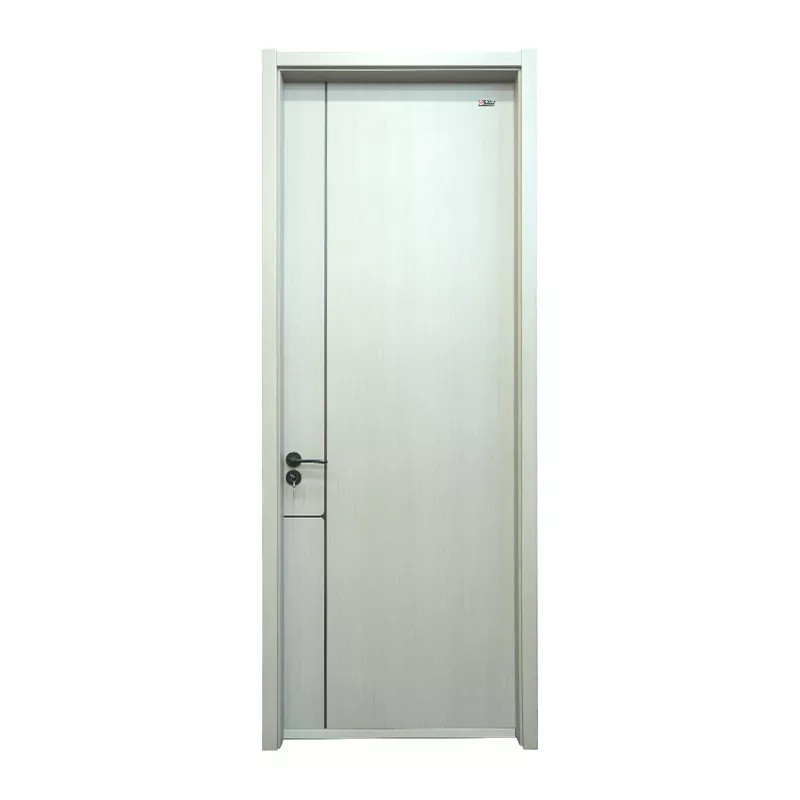 Dry Paint Doors Wooden