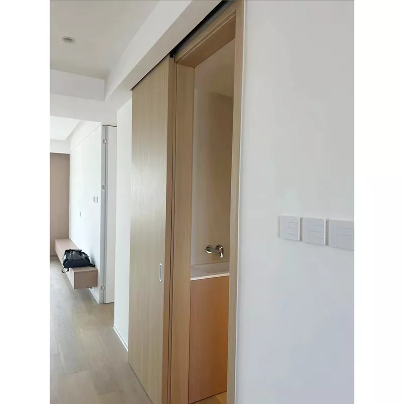 Pocket Doors